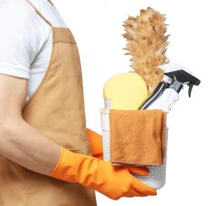 professional sydney local cleaners